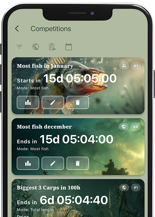 FISHING BUDDIES Live Competition